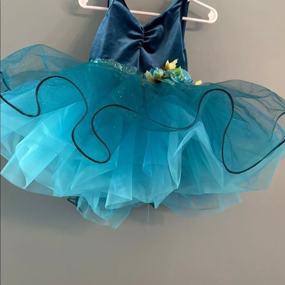 Girl’s Small blue Ballet Tutu Dress Dance Fairy Princess dress ~ Dress Up